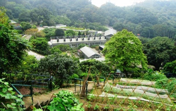 مزرعة قدوري والحديقة النباتية هونج كونج
