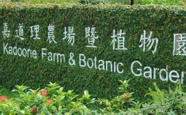 مزرعة قدوري والحديقة النباتية
Hong Kong Gardens