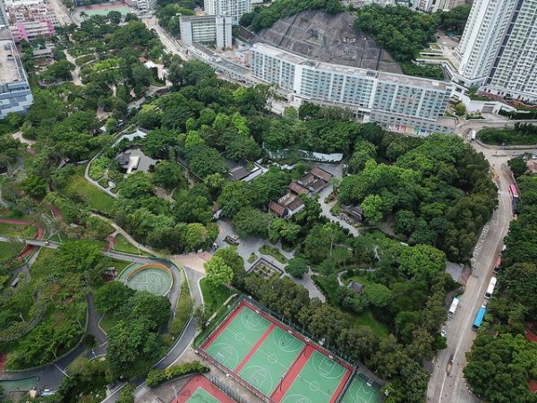 حديقة كولون وولد سيتي
Hong Kong Gardens