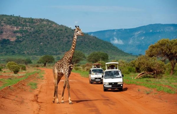مناطق الجذب السياحي في كينيا 
